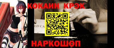 шишки Новодвинск