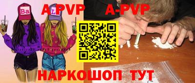 шишки Новодвинск