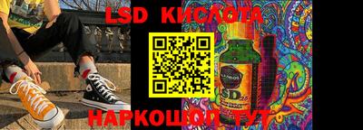 шишки Новодвинск
