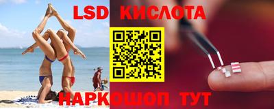 прущие грибы Новокубанск