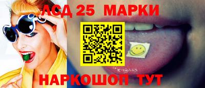 шишки Новодвинск