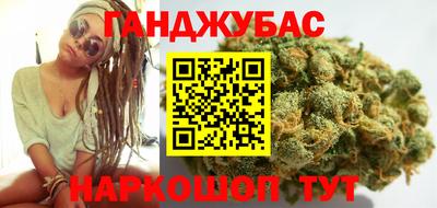 шишки Новодвинск