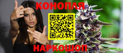 прущие грибы Новокубанск
