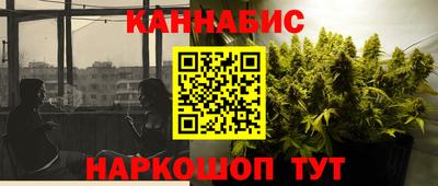 шишки Новодвинск