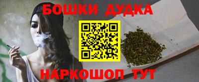шишки Новодвинск