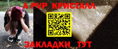 шишки Новодвинск