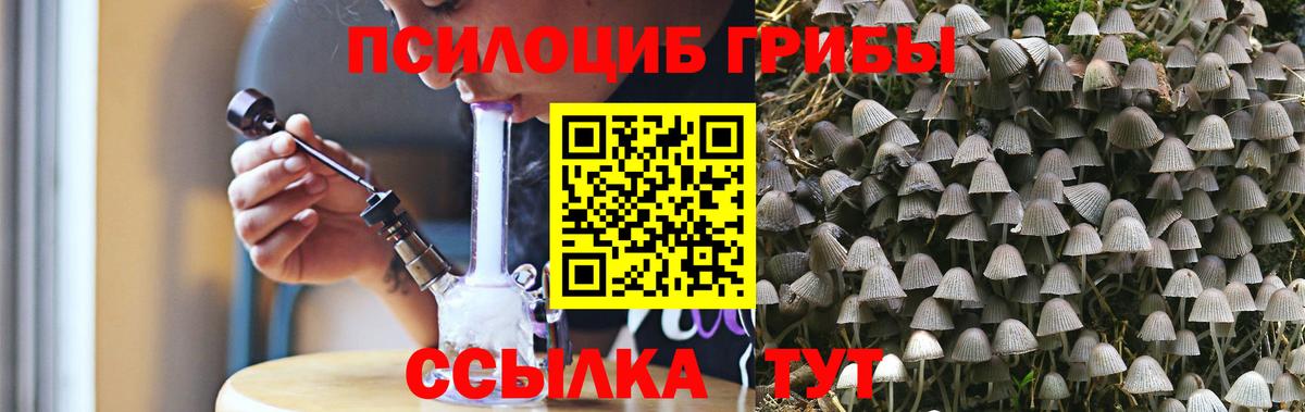 Галлюциногенные грибы прущие грибы Сертолово